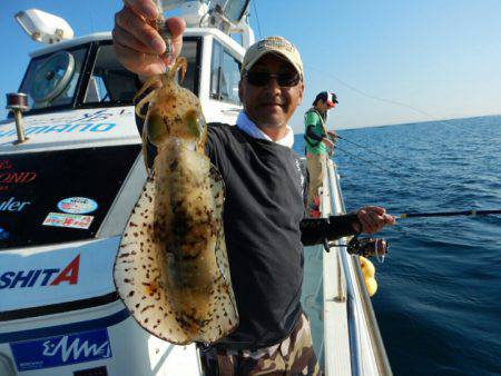 きずなまりん 釣果