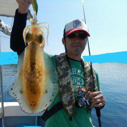 きずなまりん 釣果