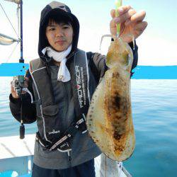 きずなまりん 釣果