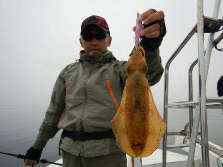 きずなまりん 釣果