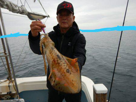 きずなまりん 釣果