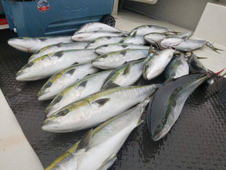 海友丸 釣果