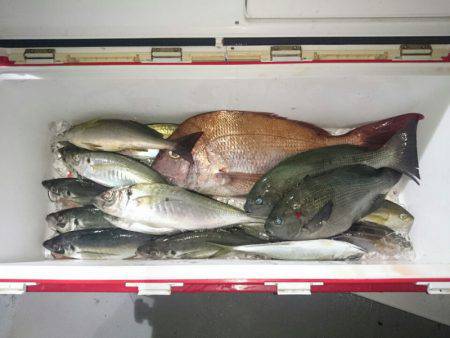 エンペラー 釣果