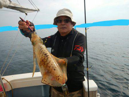 きずなまりん 釣果