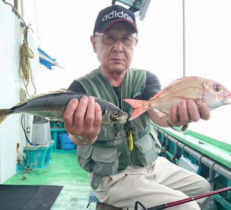 小島丸 釣果