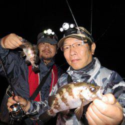 Chase（チェイス） 釣果