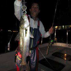 Chase（チェイス） 釣果