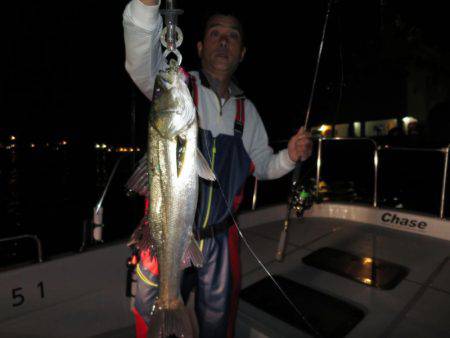 Chase（チェイス） 釣果