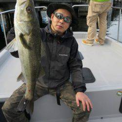 Chase(チェイス) 釣果