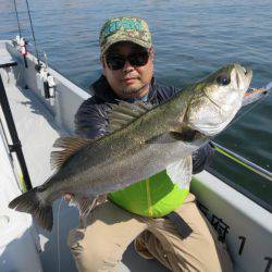 Chase(チェイス) 釣果