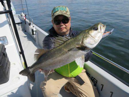 Chase(チェイス) 釣果