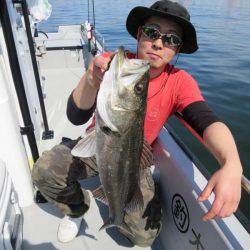 Chase(チェイス) 釣果