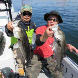 Chase(チェイス) 釣果