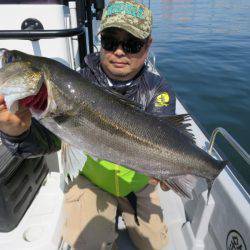 Chase(チェイス) 釣果