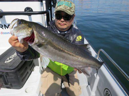 Chase(チェイス) 釣果