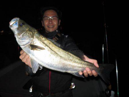 Chase（チェイス） 釣果