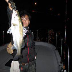 Chase（チェイス） 釣果