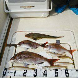 マリンガイド福丸 釣果