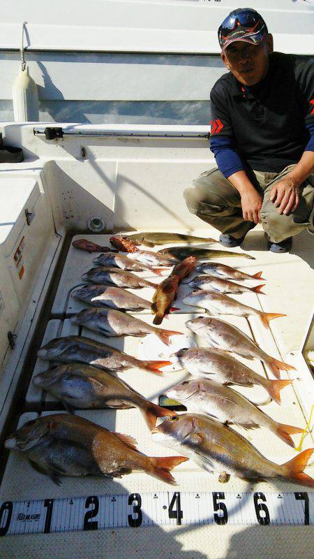 マリンガイド福丸 釣果