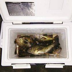 マリンガイド福丸 釣果