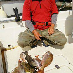 マリンガイド福丸 釣果