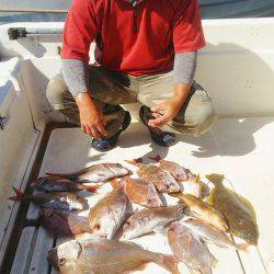 マリンガイド福丸 釣果