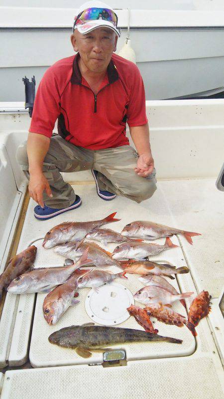 マリンガイド福丸 釣果