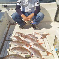 マリンガイド福丸 釣果