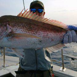 まるいち丸 ZERO-1 釣果