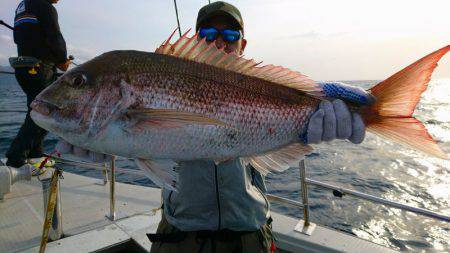 まるいち丸 ZERO-1 釣果