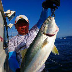 まるいち丸 ZERO-1 釣果