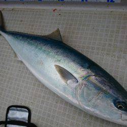 まるいち丸 ZERO-1 釣果