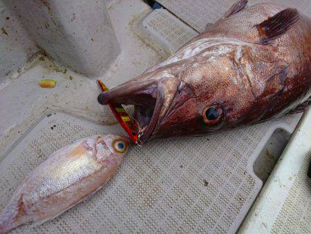 まるいち丸 ZERO-1 釣果