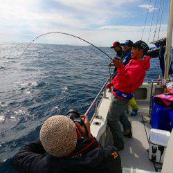 まるいち丸 ZERO-1 釣果