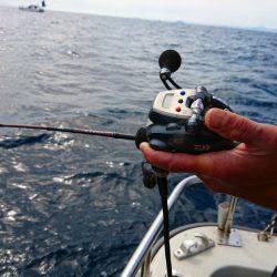 まるいち丸 ZERO-1 釣果