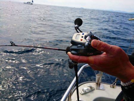 まるいち丸 ZERO-1 釣果