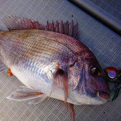 まるいち丸 ZERO-1 釣果