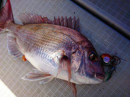 まるいち丸 ZERO-1 釣果