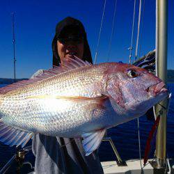 まるいち丸 ZERO-1 釣果