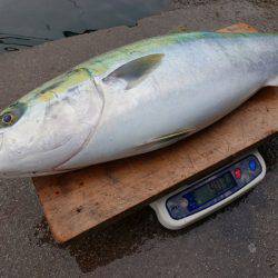 まるいち丸 ZERO-1 釣果