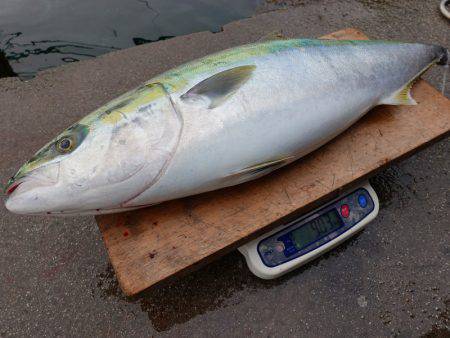 まるいち丸 ZERO-1 釣果