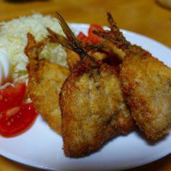 まるいち丸 ZERO-1 釣果