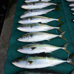 まるいち丸 ZERO-1 釣果