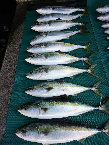 まるいち丸 ZERO-1 釣果