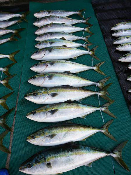 まるいち丸 ZERO-1 釣果