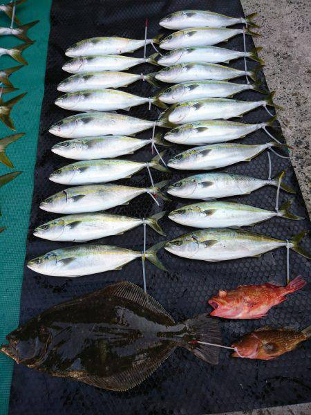 まるいち丸 ZERO-1 釣果