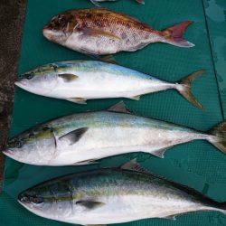 まるいち丸 ZERO-1 釣果