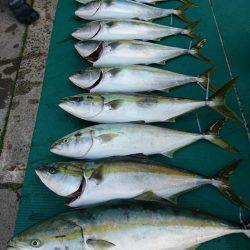 まるいち丸 ZERO-1 釣果