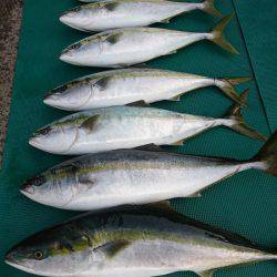 まるいち丸 ZERO-1 釣果