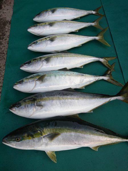 まるいち丸 ZERO-1 釣果